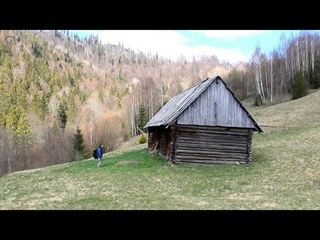 Great-grandfather’s hut in the forest. Nobody lived there for half a century. Bushcraft shelter.
