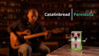 Catalinbread Pareidolia Harmonic Mesmerizer - DMTR Pedal Shop #быстрообзор