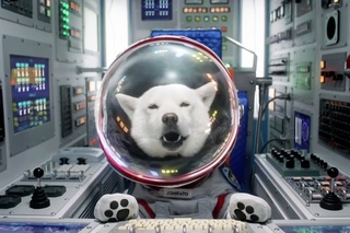 Weird, Funny & Cool Japanese Commercials #37 (SoftBank Special)