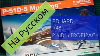 Eduard 1/48 P-51D-5 Mustang Profipack (82101) Обзор Модели / Russian Review