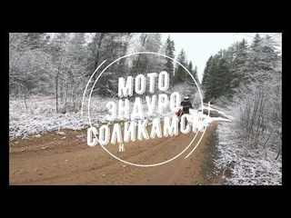 Грязный бурундук отдыхает. Отличный прохват выходного дня