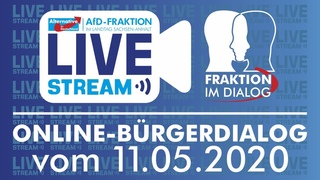 Online Bürgerdialog der AfD-Fraktion Sachsen-Anhalt vom
