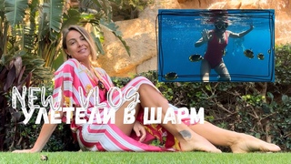 Улетели в Шарм Египет. Stella di mare 5*. нац. парк Рас Мухаммед😍🏝️🐠 кораллы рыбки Sharm