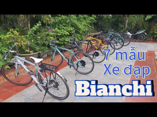 Báo Giá 7 Mẫu Xe Đạp Bianchi Ý Đẹp Lạ Hàng Nhật