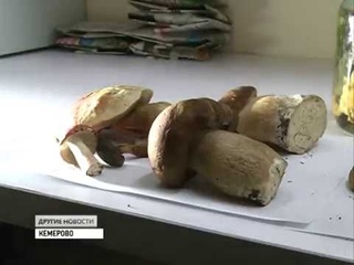Собираем грибы!