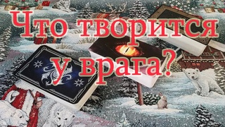 Что творится в жизни врага, человека? Общий расклад.