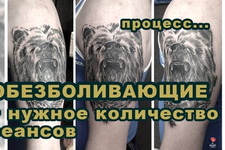 Обезболивающие.  Количество сеансов.  Процесс.  Медведь.  Мастер  - Курганов Илья