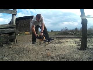 Реальная жизнь в России. Деревенские будни. Влог №6 // Жизнь в деревне