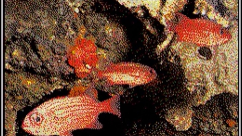 ( Gymnopedie) 1 HOUR