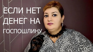 Как снизить расходы на судебные госпошлины // РОДНОЙ РЕГИОН 2024