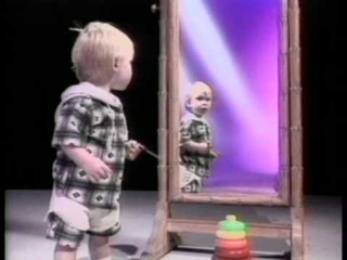 SELF RECOGNITION