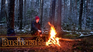 ЗИМНИЙ БУШКРАФТ. КАРТОФЕЛЬ ЗАПЕЧЕННЫЙ С САЛОМ НА УГЛЯХ. Первый снег / Solo winter  bushcraft