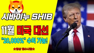 [시바이누 코인] 11월 미국 대선! 과감한 베팅 가능하다!? “20,000%“ 수익 가능!