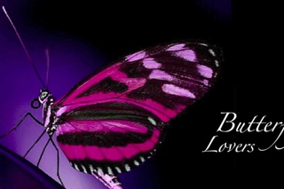 梁祝 - The Butterfly Lovers Violin Concerto [High Definition Audio]