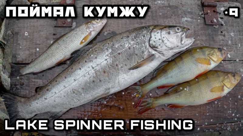 ПОЙМАЛ КУМЖУ Форель Хариус Щука Окунь Рыбалка на Блесну,