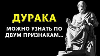 20 Мудрых Цитат Платона | Цитаты, Афоризмы и Высказывания