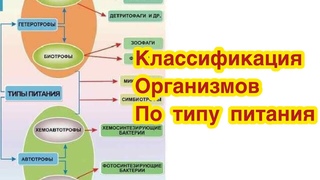 Классификация  организмов по типу питания. Автотрофы, гетеротрофы