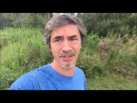 Female Bigfoot forced me to do