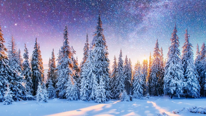 Peaceful Instrumental Christmas Music: Relaxing Christmas music The Christmas Pines Tim