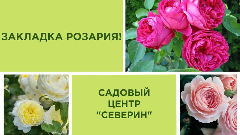 ЗАКЛАДКА