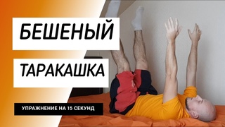Бешеный таракашка / тараканчик на спине