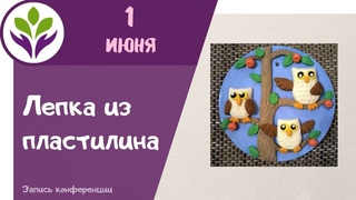 Лепка из пластилина   Лепим   Сов