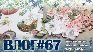 ВЛОГ#67: делаю вырубку и новый альбом, пришла весна