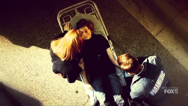 the X files William, Mulder and Scully, , Not about