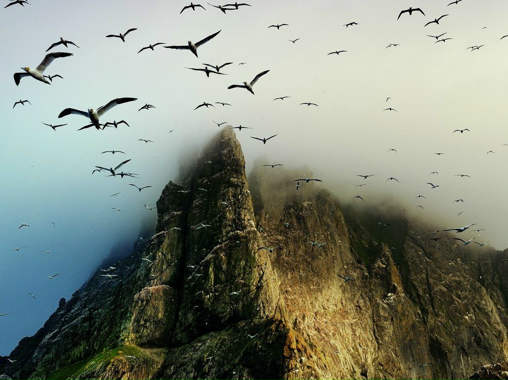 Дмитрий Щур | Киев