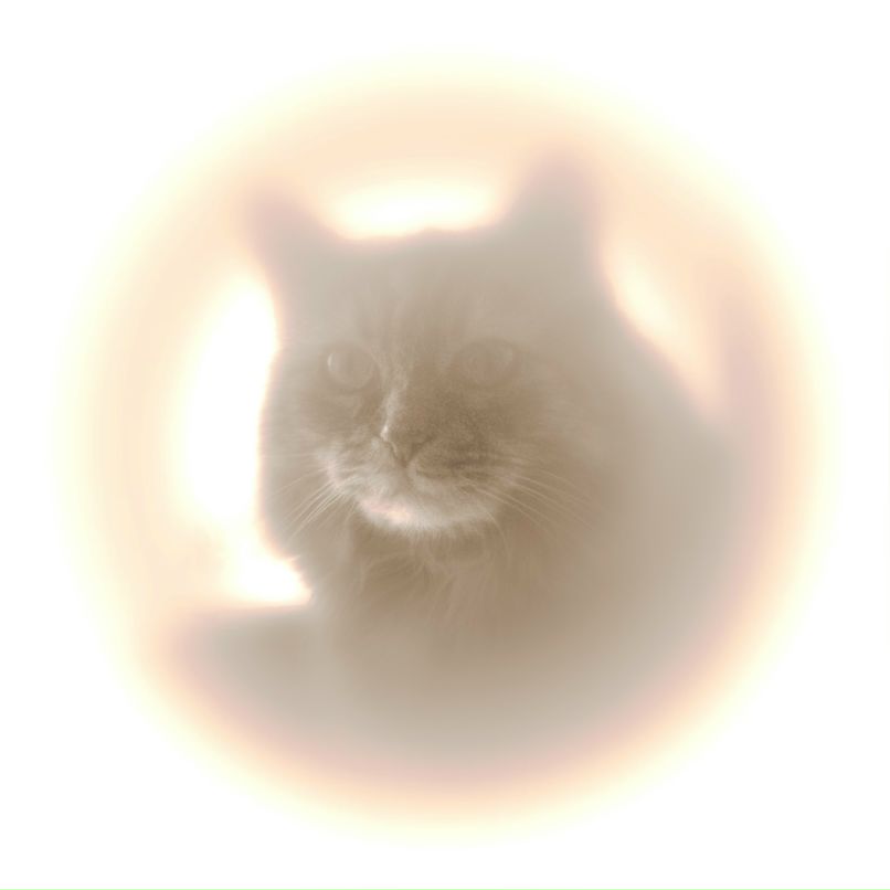 Xusha Jamesovna | Edinburgh