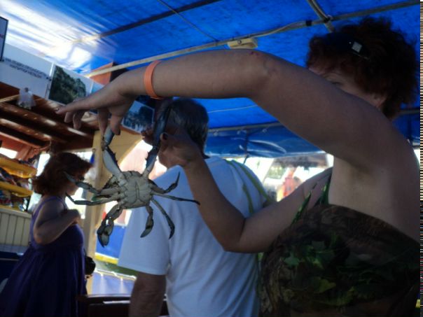 №6, Светлана Гуртовая №6, Светлана Гуртовая