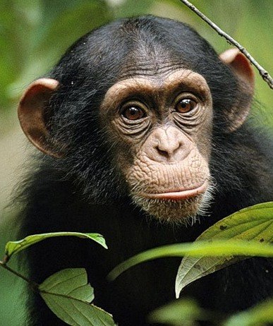 Галина Доля | Санкт-Петербург