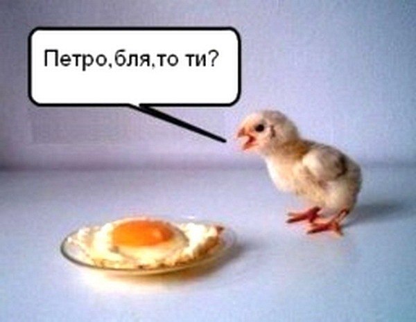 Володимир Гавриш | Чернигов