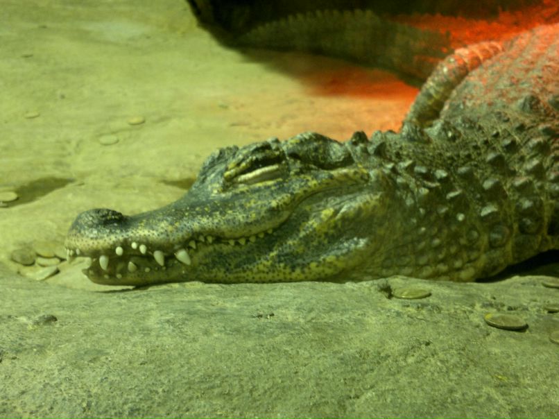 Мария Сердцева | Апрелевка