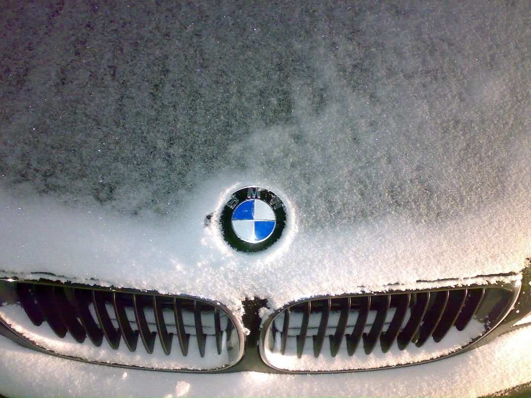 Ozyb Kypchino | Санкт-Петербург