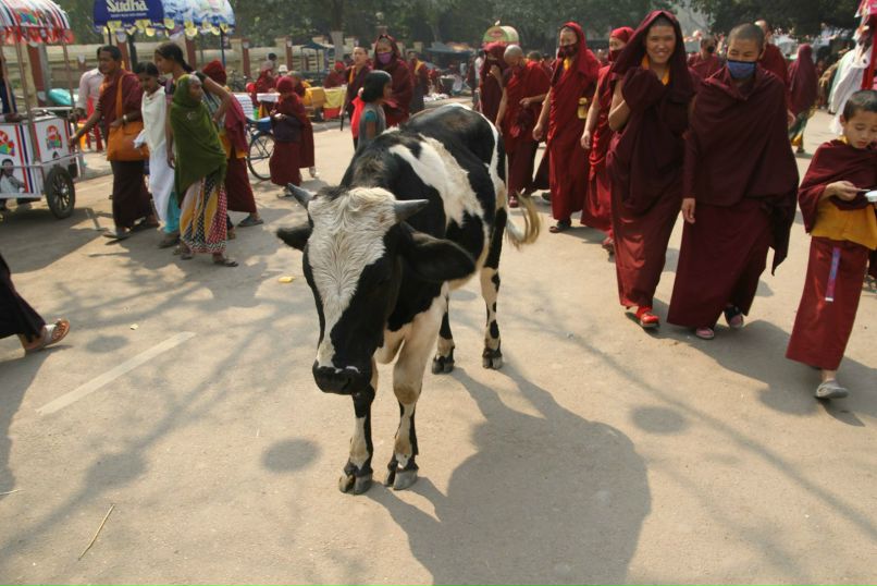 Андрей Белоусов | Санкт-Петербург