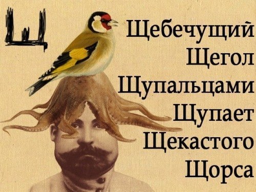 Оля Синица | Киев