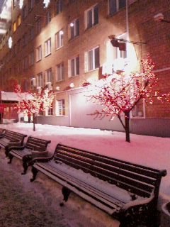 Арина Терно | Москва