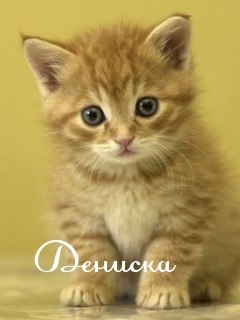 Денис Агломзянов | Красноярск