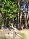 Фотография Мария Пищулина