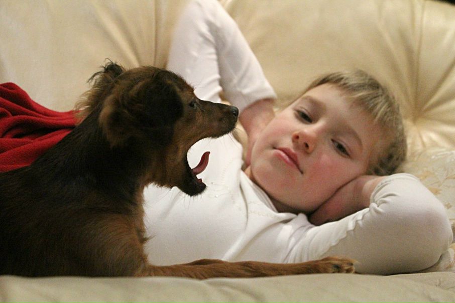 №4, Николай Меркулов №4, Николай Меркулов