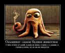 №26 Юрий Теодоровичь 01.03.1974: профиль, фото, статус - ВКонтакте №26 Юрий Теодоровичь 01.03.1974: профиль, фото, статус - ВКонтакте
