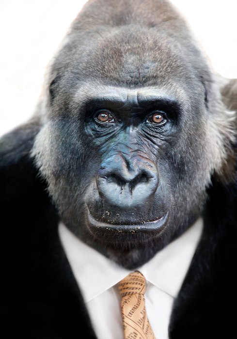 Анатолий Поморцев {Rocket} | Новомосковск