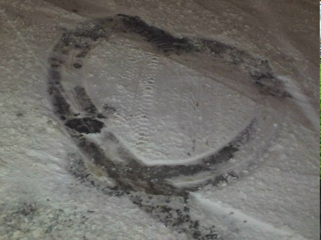 Александр Боровков | Москва