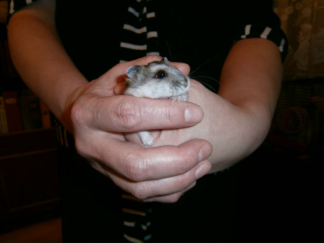 Андрей Караваев | Москва