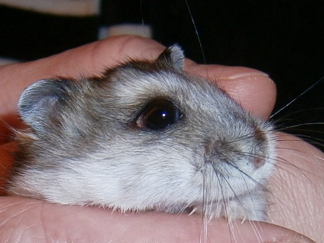 Андрей Караваев | Москва