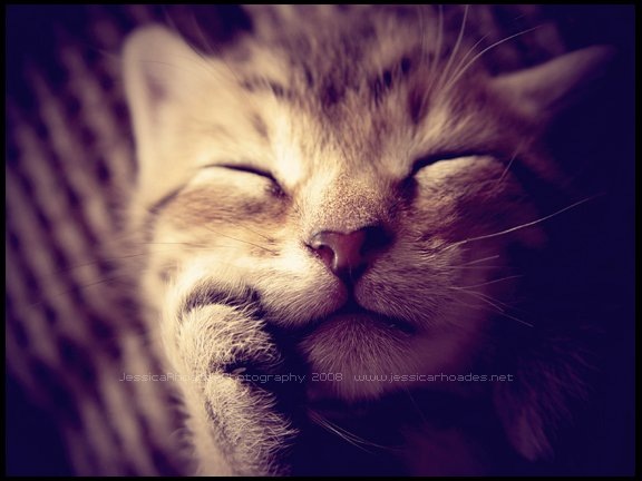 №65, Ира Куницкая, Киев №65, Ира Куницкая, Киев