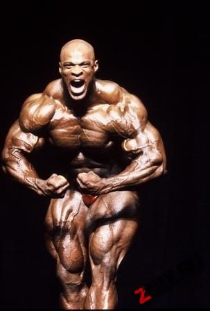 Андрей Белявцев | Северск