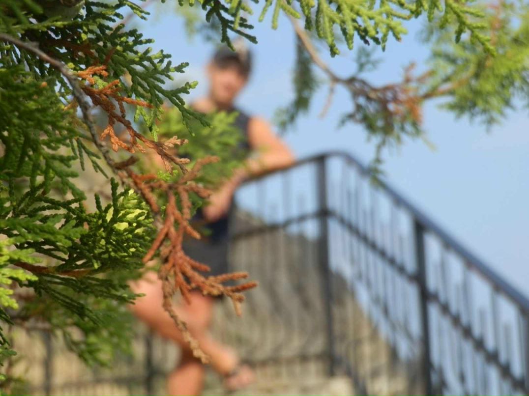 Виталий Григоренко | Киев