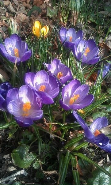 №3, Анна Мухамадеева, 50 лет №3, Анна Мухамадеева, 50 лет